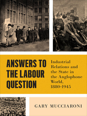 cover image of Answers to the Labour Question